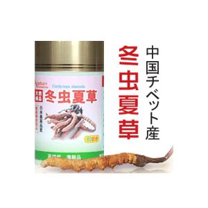 チベット冬虫夏草　120粒30日分　国際金賞獲得！