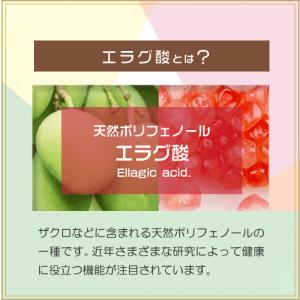 ダイエットサプリ エラグ酸 3000mg 1ヶ...の詳細画像1
