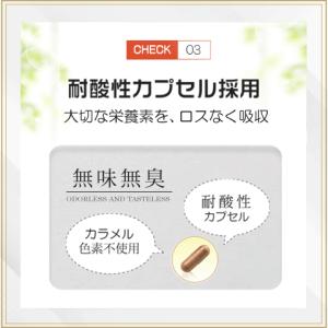 ダイエットサプリ エラグ酸 3000mg 1ヶ...の詳細画像5