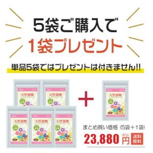 葉酸 マカ サプリ 女性用 妊活 セット プレママセット ヤマノ