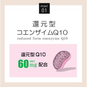 ミトコンドリア 活性化 サプリ 30日分 日本...の詳細画像2