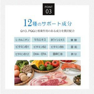 ミトコンドリア 活性化 サプリ 30日分 日本...の詳細画像3