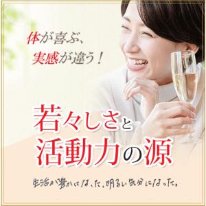 ミトコンドリア 活性化 サプリ 30日分 日本...の詳細画像5