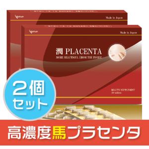 プラセンタ ２箱セット（24%OFF)  馬プラセンタ サプリ サプリメント プラセンタを1粒に50倍濃縮！｜alphay3939