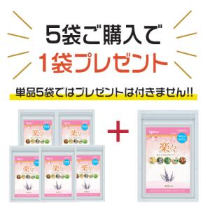 パクパク酵母くん 31袋入り 糖質 2箱 酵母 サプリ ぱくぱく酵母くん