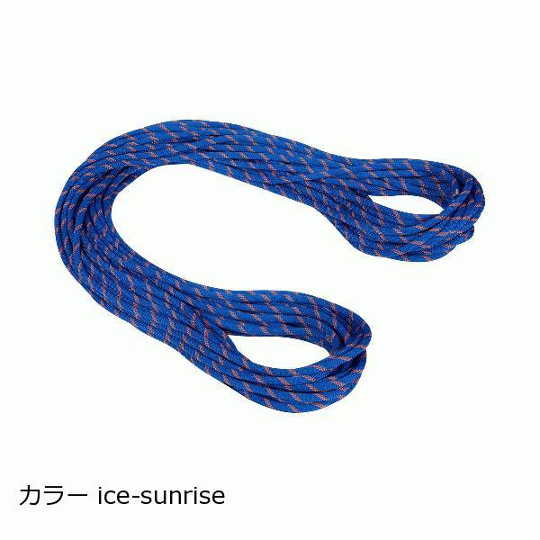 マムート（MAMMUT）アルパインセンダー　ドライ　40m　9.0 mm 2010?04200 カラ...
