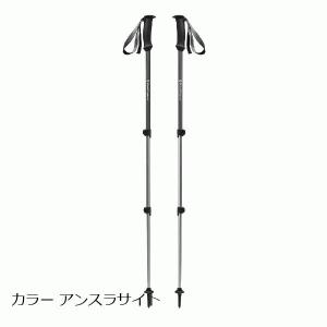 ブラックダイヤモンド  トレイルエクスプローラー3 カラー アンスラサイト