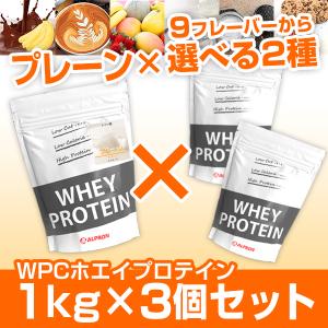 プロテイン ホエイ WPC ドイツ産 プレーン 1kg ＋ 選べる 2フレーバー セット アルプロン アミノ酸 筋トレ トレーニング チョコ ストロベリー オススメ 最安値