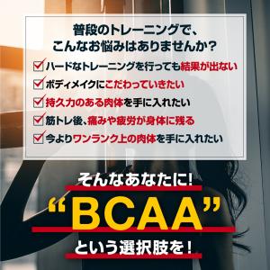 【15%OFF】BCAA サプリ サプリメント...の詳細画像3