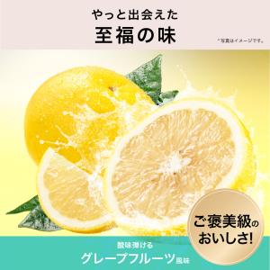 ダイエット サポート サプリ サプリメント 燃...の詳細画像1