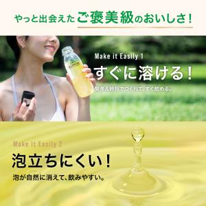 ダイエット サポート サプリ サプリメント 燃...の詳細画像2