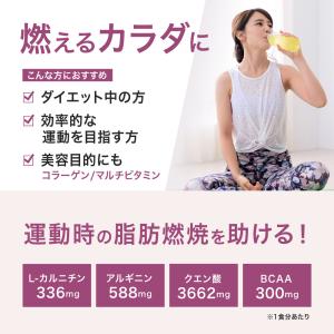 ダイエット サポート サプリ サプリメント 燃...の詳細画像4