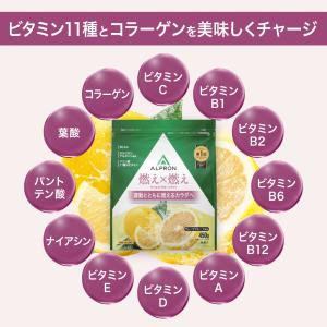 ダイエット サポート サプリ サプリメント 燃...の詳細画像5