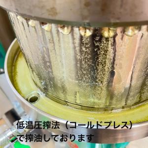 【送料無料】金のしずく えごま油 190g【国...の詳細画像5