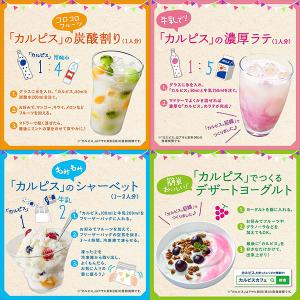 アサヒ カルピス ほっと 原液 希釈用 プラス...の詳細画像3