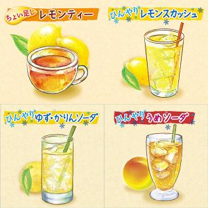 アサヒ カルピス ほっと 原液 希釈用 プラス...の詳細画像4