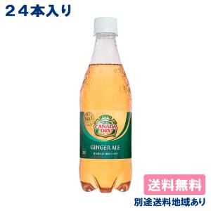 コカ・コーラ カナダドライ ジンジャーエール 炭酸飲料 500ml PET 24本 賞味期限：2023年7月30日 送料無料 別途送料地域あり