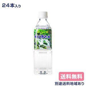 水 天然水 秩父源流水 500ml x 24本 送料無料 別途送料地域あり｜als-inc