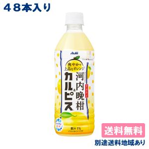 カルピス 愛媛県産河内晩柑＆カルピス 乳酸菌 500ml x 48本 ( 24本入 x 2ケース ) 送料無料 別途送料地域あり｜als-inc