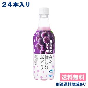 カルピスソーダ 夜を愉しむぶどう PET 450ml x 24本 送料無料 別途送料地域あり｜als-inc