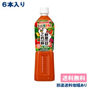1日分の野菜 伊藤園 PET 740g x 30本 ( 15本入 2ケース ) 送料無料