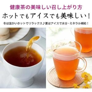 国産柿の葉茶 30包【DM便送料無料】の詳細画像3