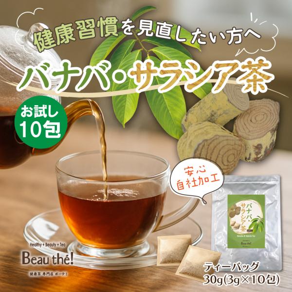 バナバ・サラシア茶　お試し10包　3ｇ×10包　ティーバッグ　ノンカフェイン　【DM便・送料無料】