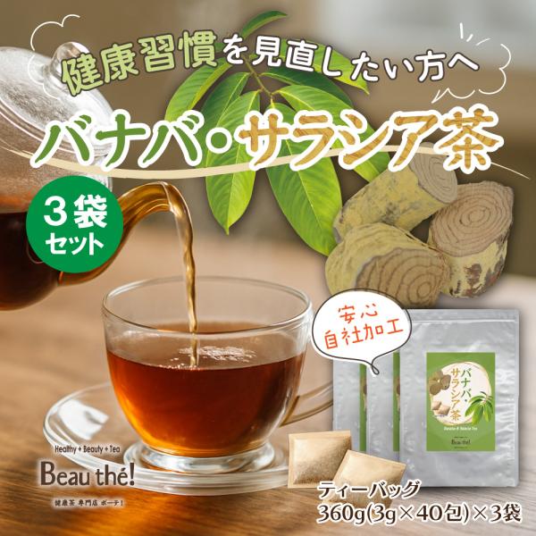 バナバ・サラシア茶　(3g×40包)×3袋セット　ティーバッグ　ノンカフェイン　【送料無料】