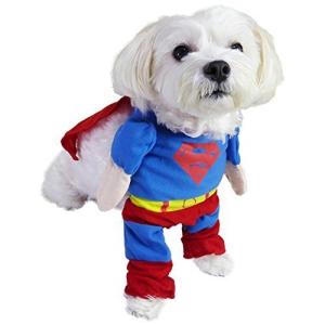 犬 二足歩行 服の商品一覧 通販 Yahoo ショッピング