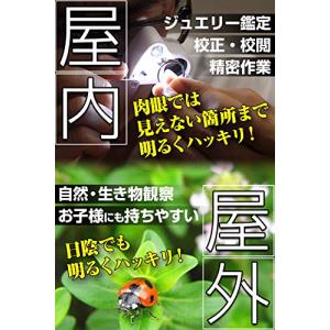 Phoenix 携帯ルーペ 30倍&60倍 2...の詳細画像3