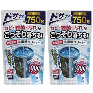 紀陽除虫菊 洗濯槽クリーナー (非塩素系/750g*2個セット) 粉末タイプ (洗濯機掃除/生乾き臭防止に)除菌 消臭 生乾き臭防止 ほこり カビ取り｜alt-mart