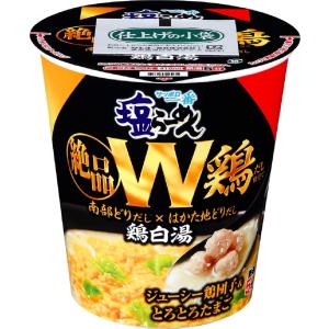 サッポロ一番 塩らーめん 絶品鶏白湯 W鶏だし仕立て ビッグ 100g 1ケース