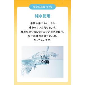 【セール】「24本」 なっちゃん りんご 42...の詳細画像3