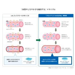 【BBセール】「24本」 伊右衛門プラス コレ...の詳細画像4