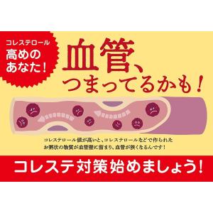 【BBセール】「24本」 伊右衛門プラス コレ...の詳細画像5