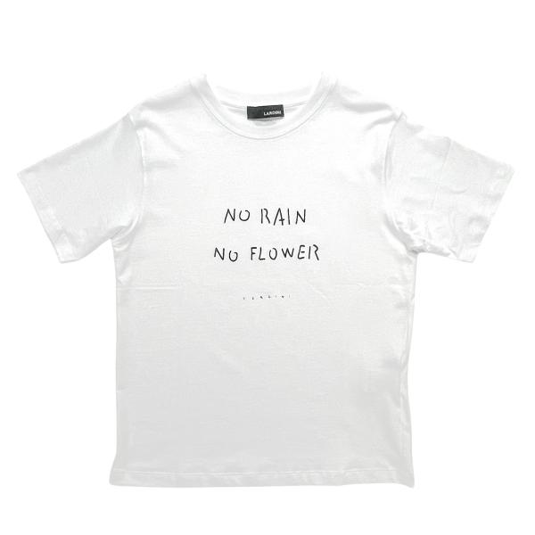 LARDINI ラルディーニ Ｔシャツ / TERZINI テルッツィー二 NO RAIN NO F...
