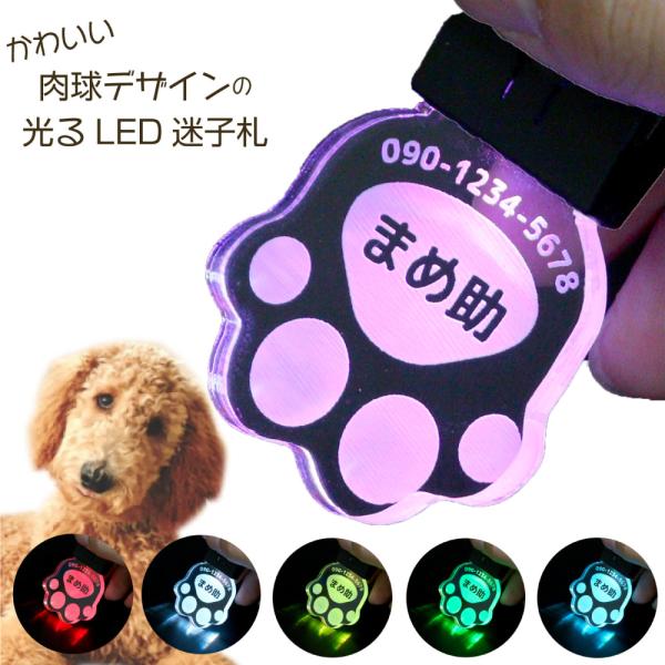光る！迷子札（LED）7色変色 充電式 アクリル製 文字が消えないレーザー彫刻 犬用リードネームタグ