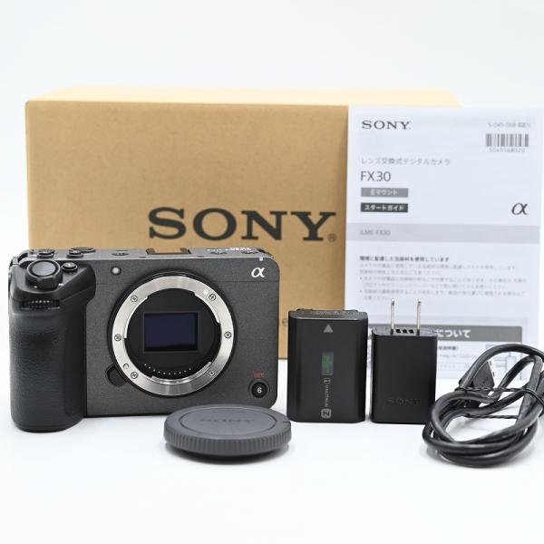 SONY ソニー ILME-FX30 プロフェッショナルカムコーダー (35言語)(ショット数1) ...