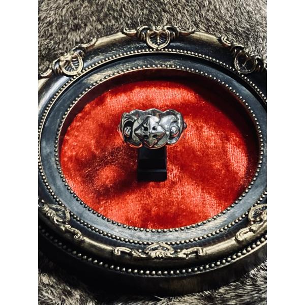 スターナイツ -Star Knights- / R-007SS / The Band &amp; Star ...