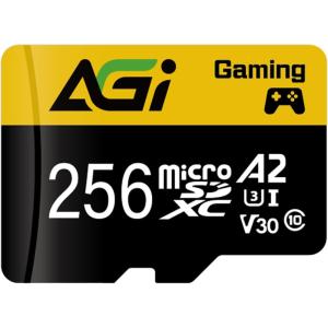 マイクロSDカード 256GB microSDXC Switch対応 AGI TF138 4K A2 U3 V30