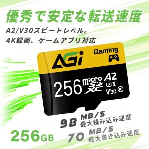 マイクロSDカード 256GB microSD...の詳細画像4