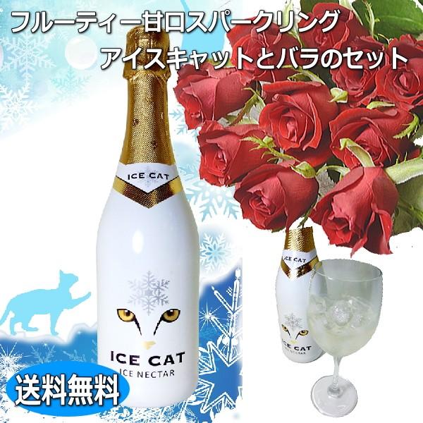 猫スパークリングワイン（白）とバラの花束