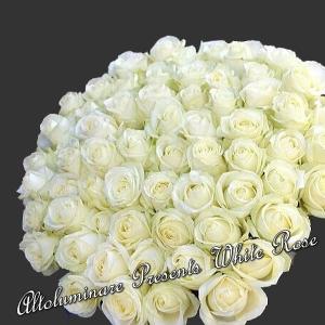 高級バラの花束 真珠 記念日 白いバラ50本のブーケ