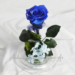 プリザーブドフラワー 青いバラ ドーム入り お誕生日の詳細画像2