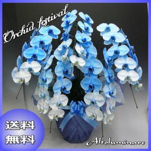 胡蝶蘭　豪華な大輪青いコチョウラン5本立て　チョウラン　お祝い　開店祝い