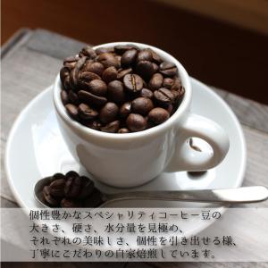 コーヒー豆 珈琲 送料無料 ブラジル・フクダ農...の詳細画像2