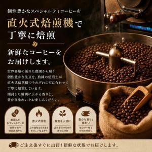 コーヒー豆 珈琲 送料無料 ブラジル・フクダ農...の詳細画像5