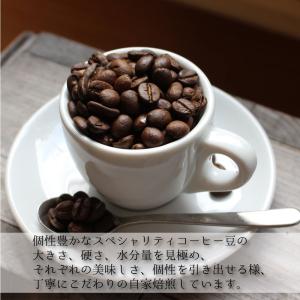 コーヒー豆 珈琲 スペシャリティコーヒー カフ...の詳細画像2