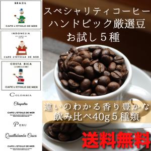 コーヒー豆 珈琲 お試しセット スペシャリティコーヒー 送料無料