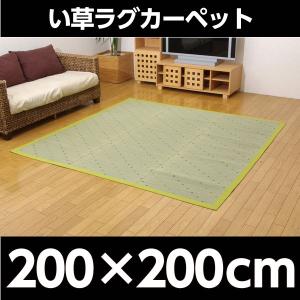 『代引不可』 イケヒコ DXミルキー い草ラグ...の詳細画像1